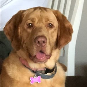 Meet your Posher, Beth